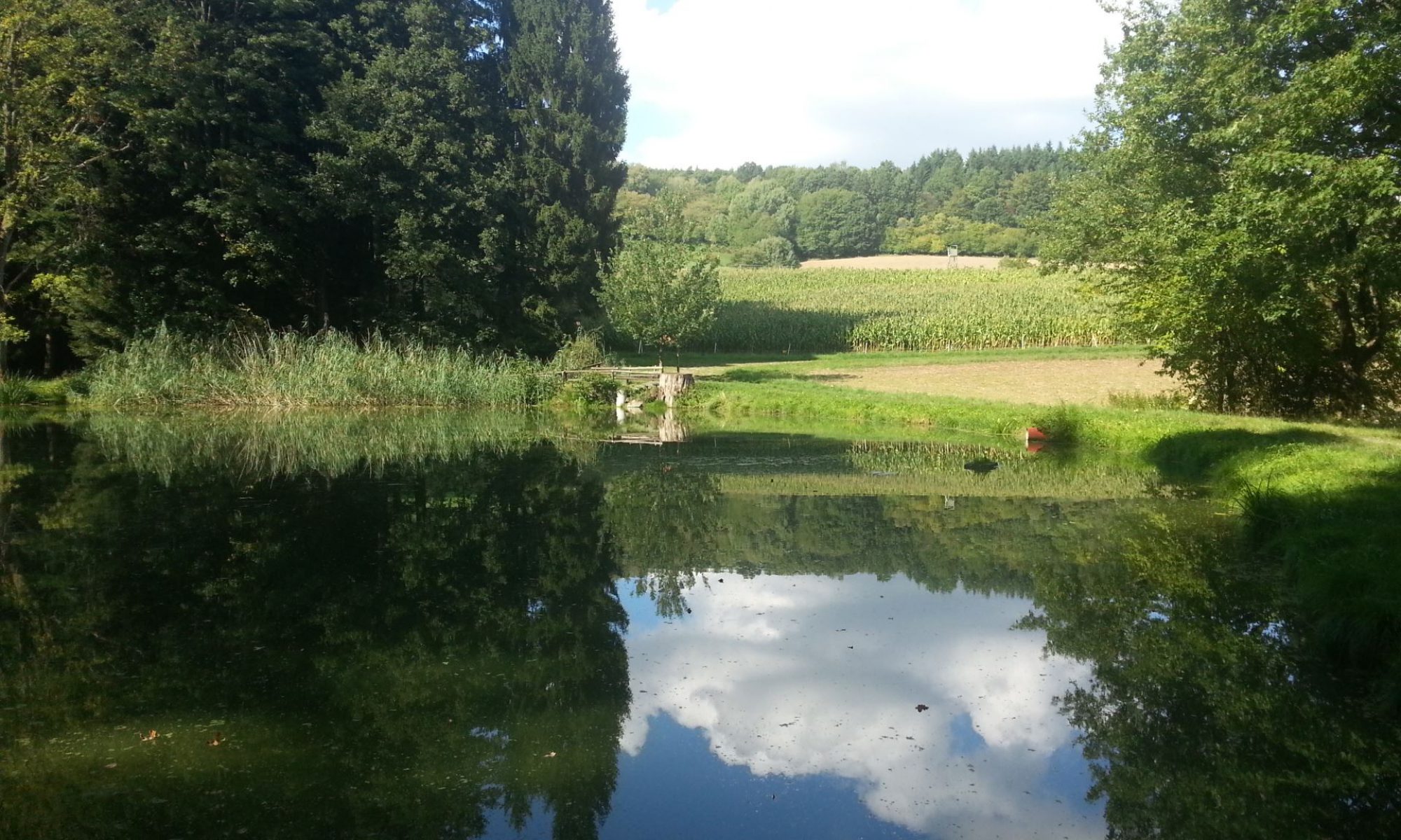 Der Ort Ernsthofen Ernsthofen