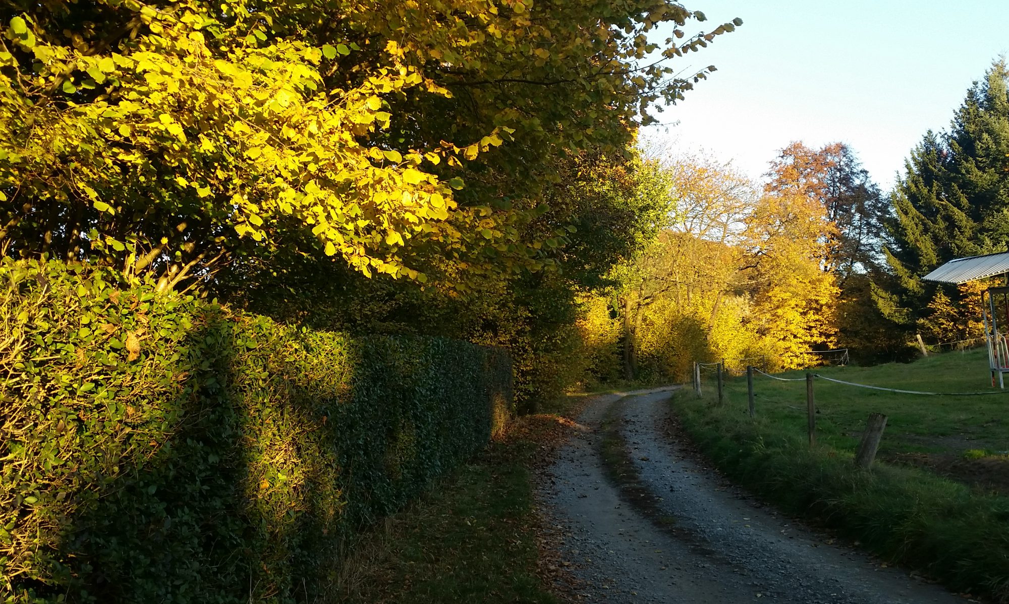 Der Ort Ernsthofen Ernsthofen