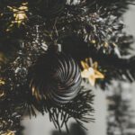 https://pixabay.com/de/photos/weihnachten-weihnachtsbaum-5861895/